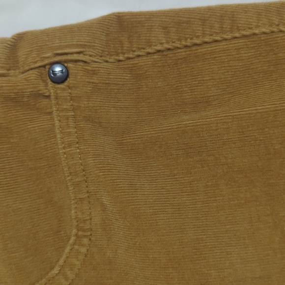 Anthropologie Pilcro & The Letterpress Corduroy Pants, Color Yellow Size 26 - Picture 4 of 15